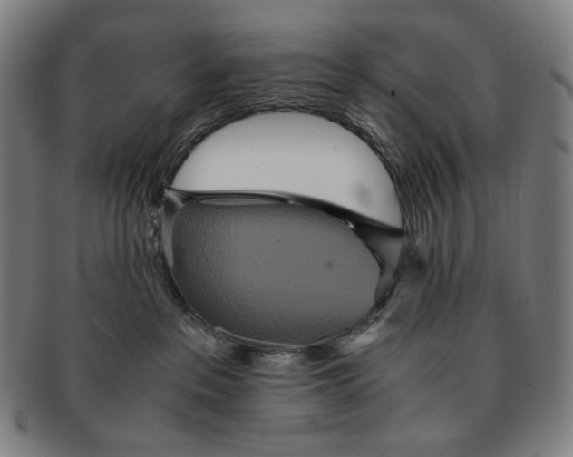 X0000090990237200708241433