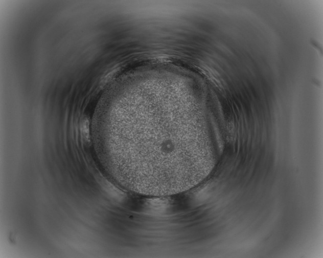 X0000090990238200708241433