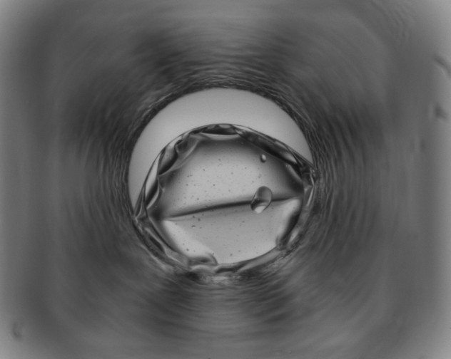 X0000090990239200708241433