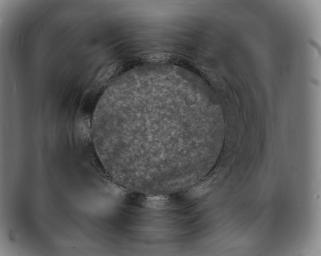 X0000090990240200708241433