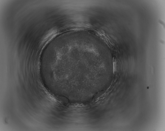 X0000090990243200708241432