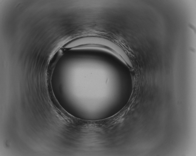 X0000090990244200708241432