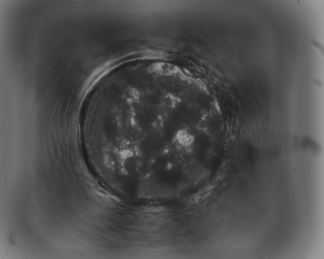 X0000090990247200708241432