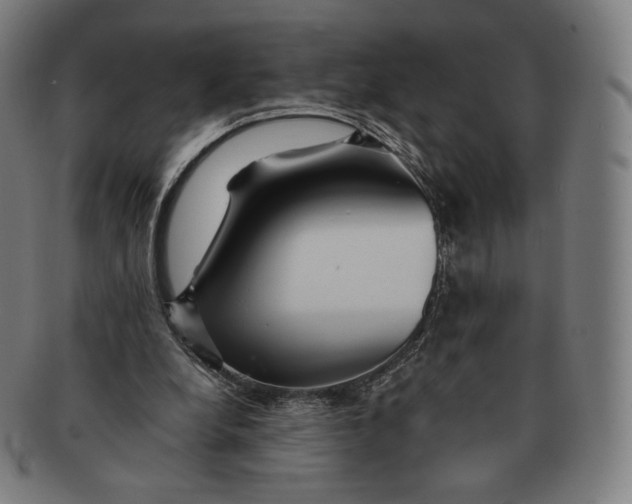 X0000090990248200708241432