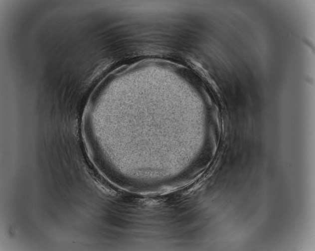 X0000090990249200708241432