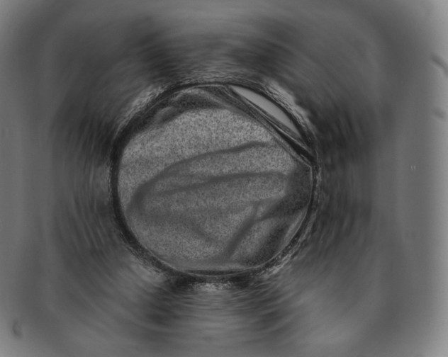 X0000090990250200708241432