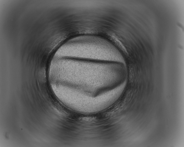 X0000090990251200708241433