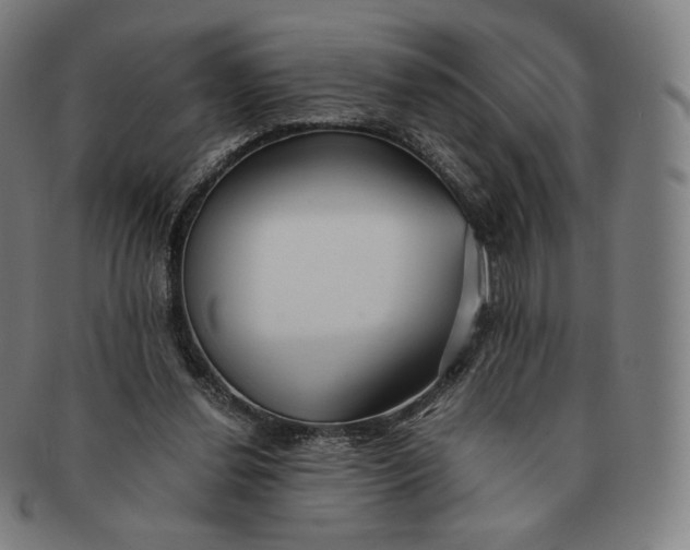 X0000090990252200708241433