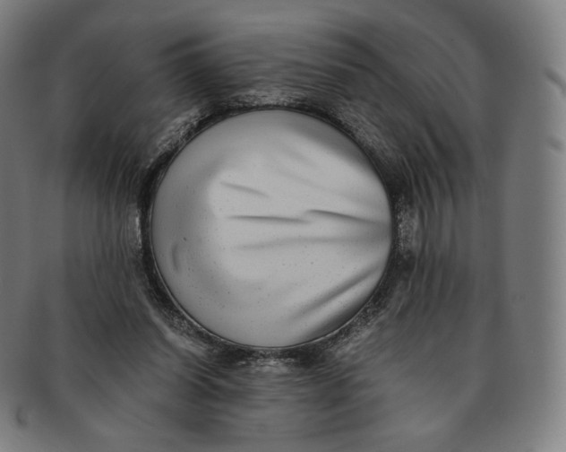 X0000090990254200708241433