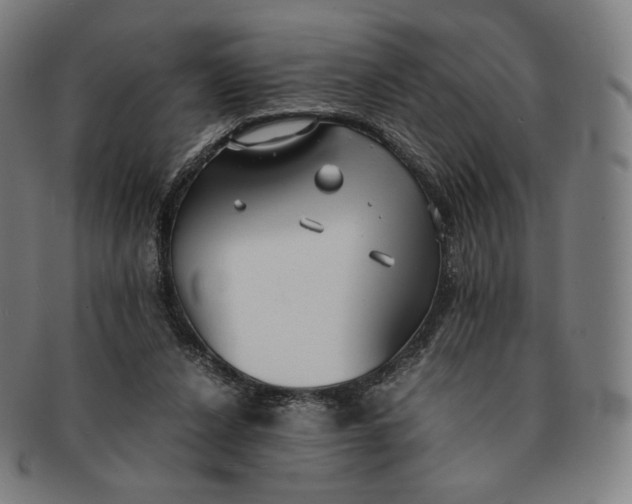 X0000090990256200708241433