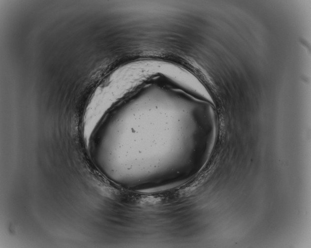 X0000090990257200708241433