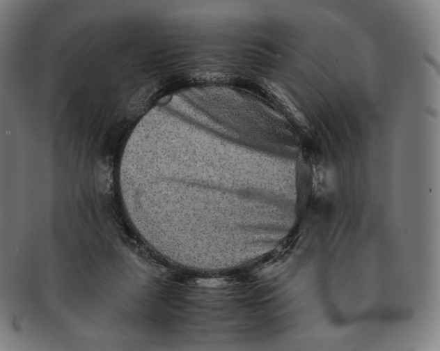 X0000090990259200708241433