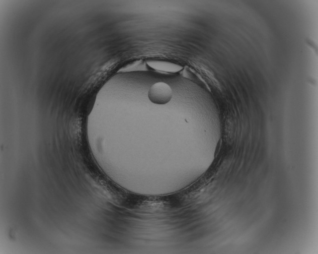 X0000090990260200708241433