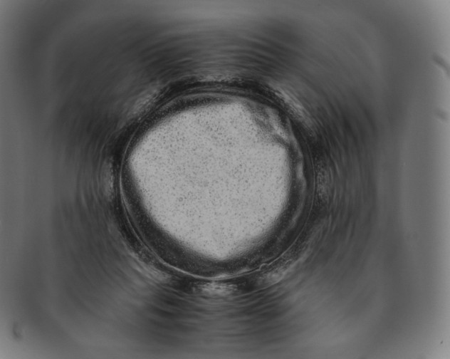 X0000090990261200708241433