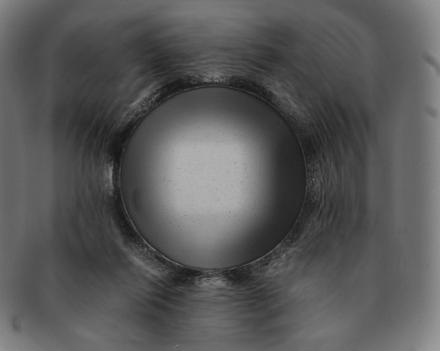 X0000090990262200708241433