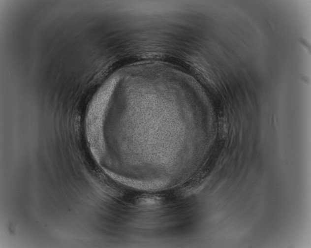 X0000090990263200708241433