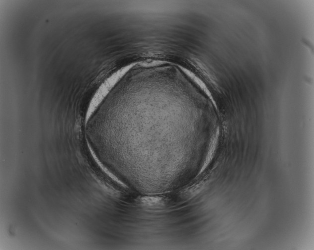 X0000090990265200708241433