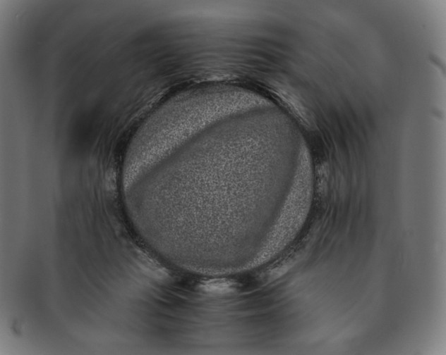 X0000090990269200708241433