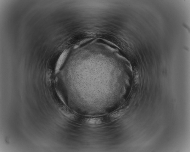 X0000090990275200708241433