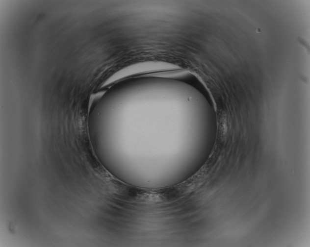 X0000090990276200708241433