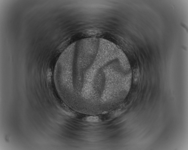 X0000090990279200708241433