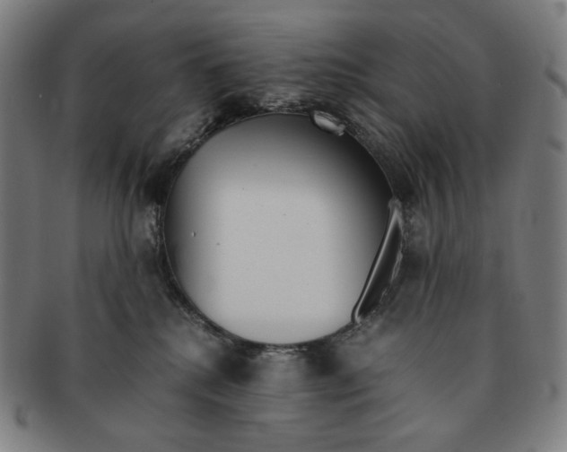 X0000090990280200708241433