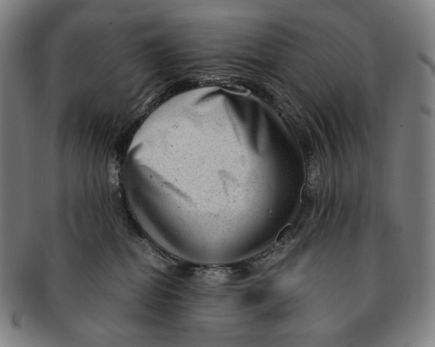 X0000090990282200708241433