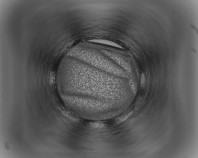 X0000090990284200708241433