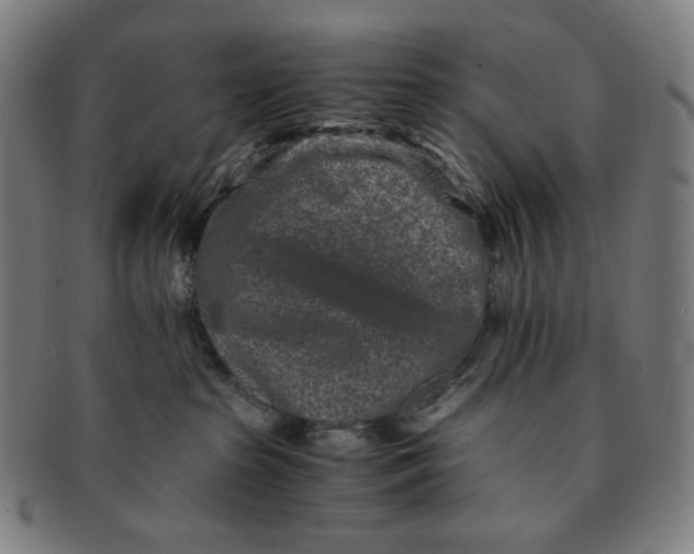 X0000090990285200708241433