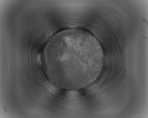 X0000090990286200708241433