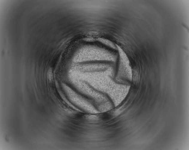 X0000090990287200708241433