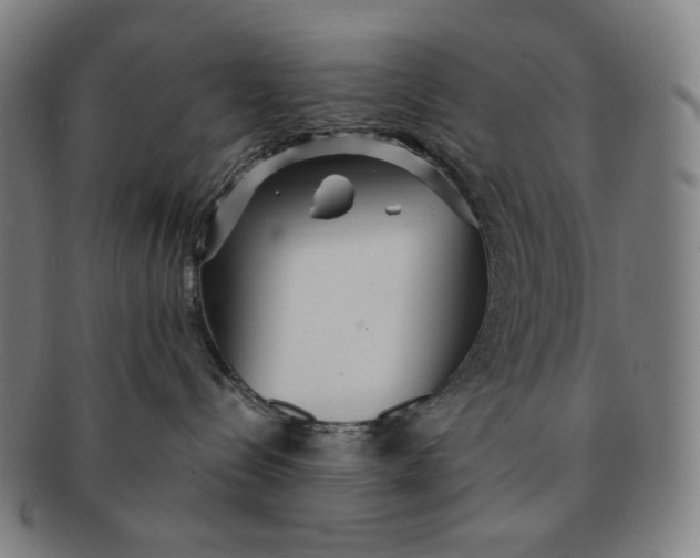 X0000090990288200708241433