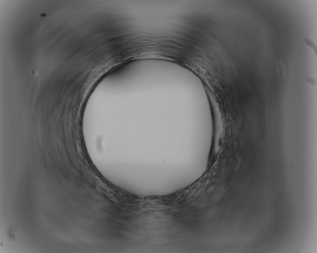 X0000090990289200708241432