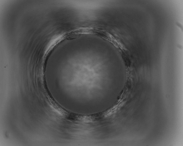 X0000090990293200708241432