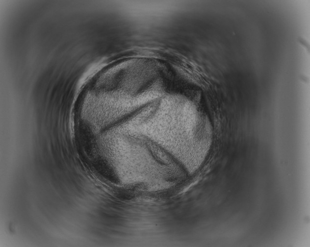 X0000090990294200708241432