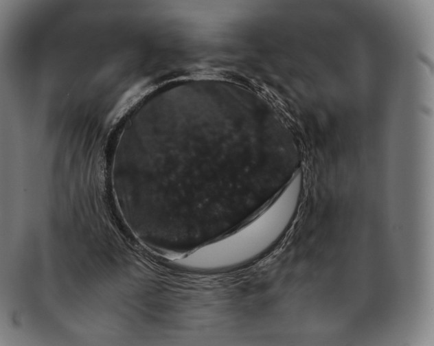 X0000090990295200708241432