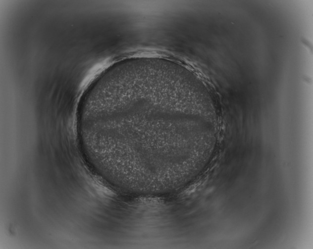 X0000090990296200708241432