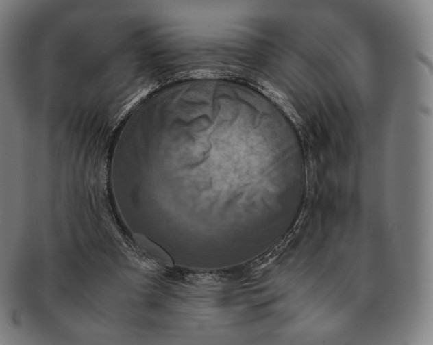 X0000090990297200708241432