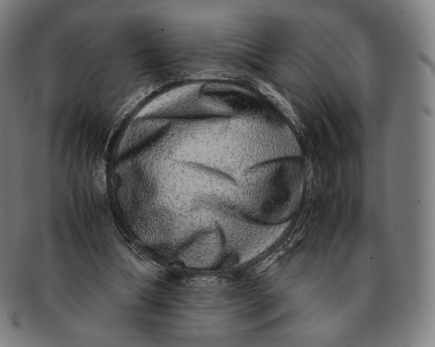 X0000090990298200708241432