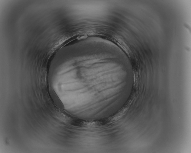 X0000090990301200708241432