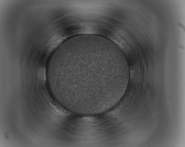 X0000090990302200708241432