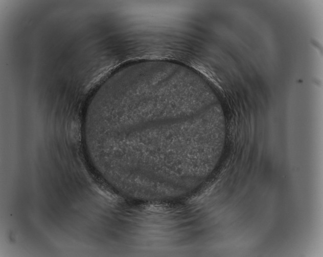 X0000090990303200708241432