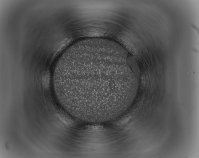 X0000090990304200708241432