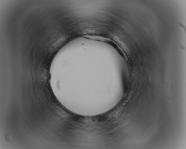 X0000090990305200708241432