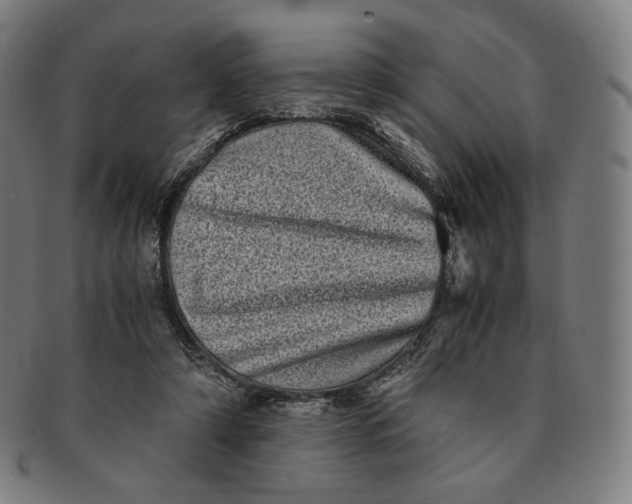 X0000090990306200708241432