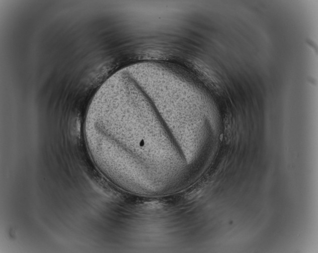 X0000090990310200708241432