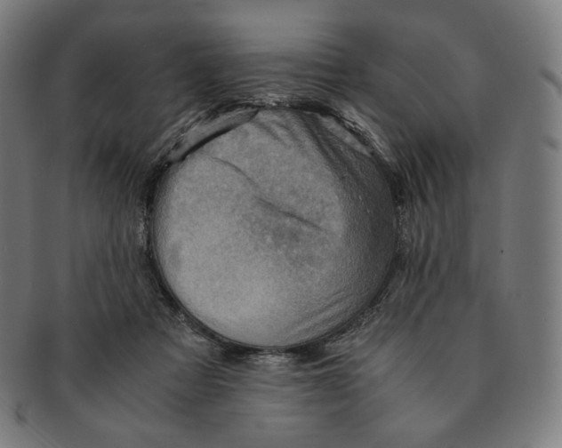 X0000090990313200708241432