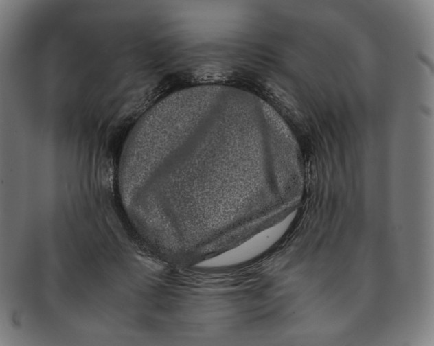 X0000090990315200708241432