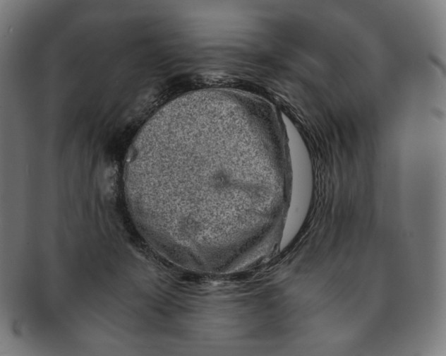 X0000090990319200708241432