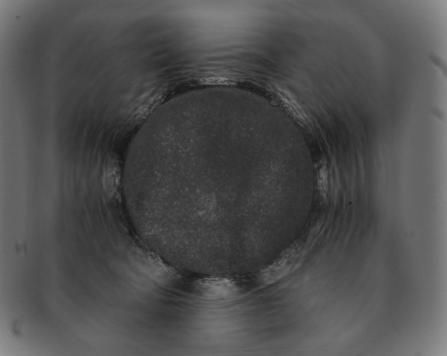 X0000090990322200708241432